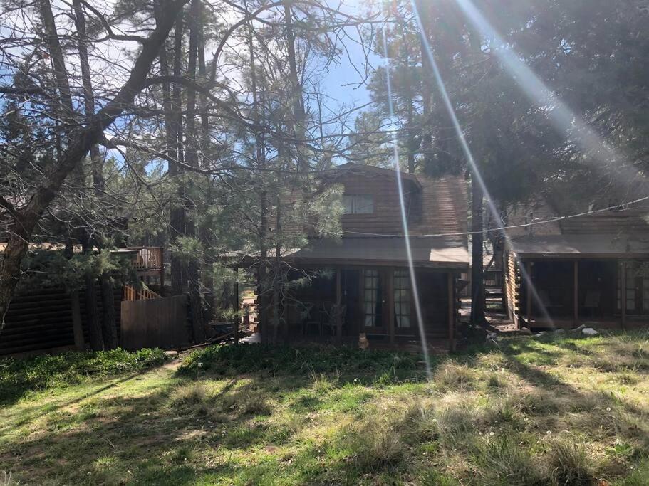 Forest Cabin 4 Cowboys Dream Payson Dış mekan fotoğraf