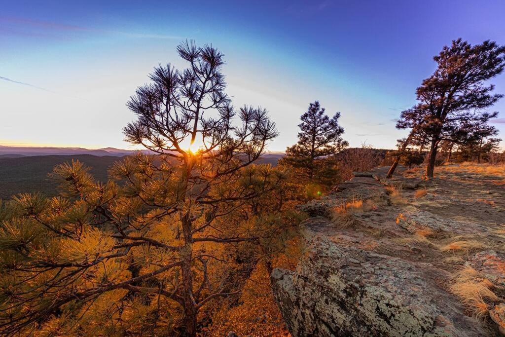 Forest Cabin 4 Cowboys Dream Payson Dış mekan fotoğraf